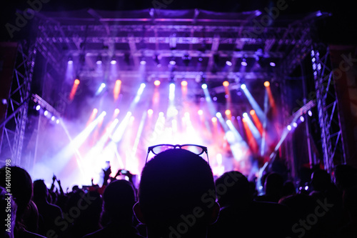 Music fan watching concert