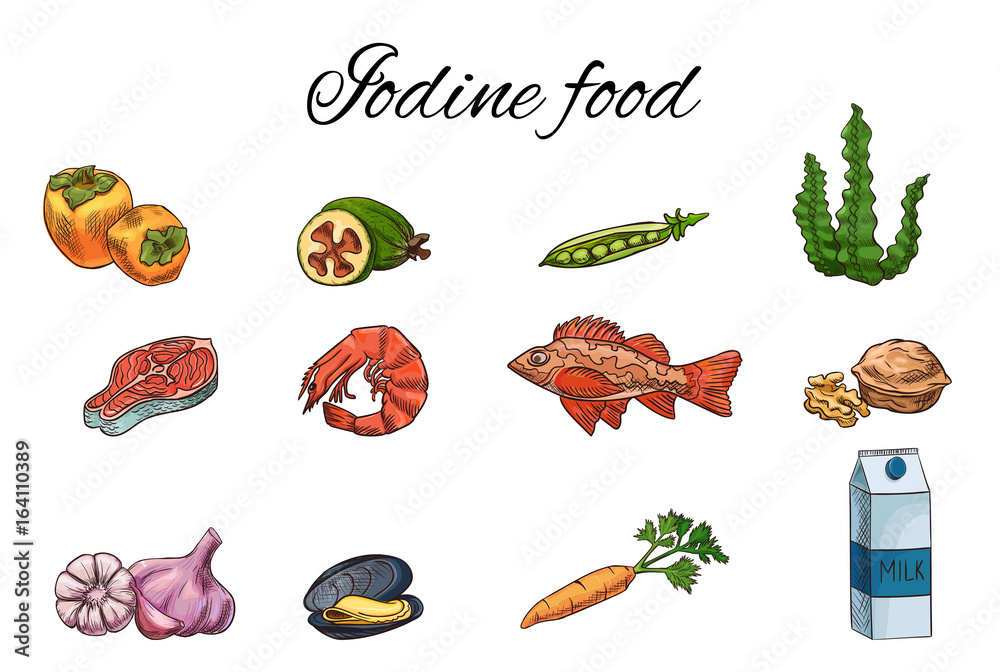 Iodine food vector sketch set, medicine infographics template, thyroid ...