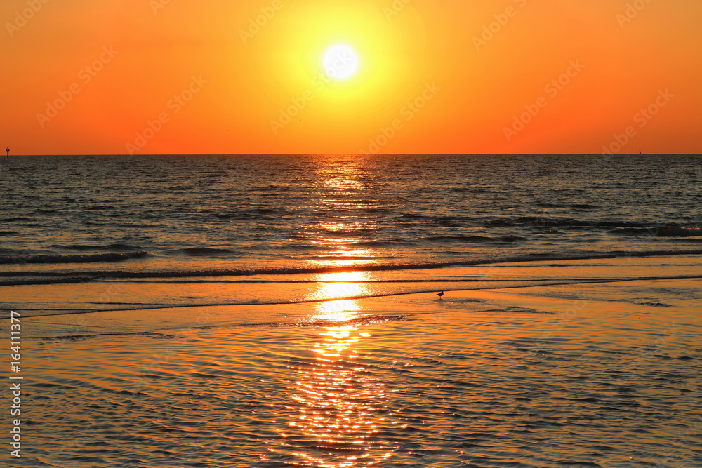 Fototapeta premium Orange sunset (horizontal), Siesta Key, Florida