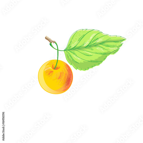 Illustration of a bright apple