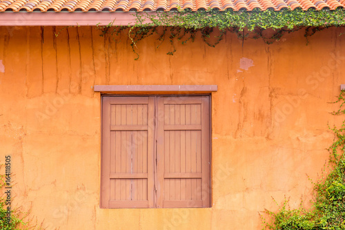 Windows with orange walls Under orange tile roof There is a vine on the wall.