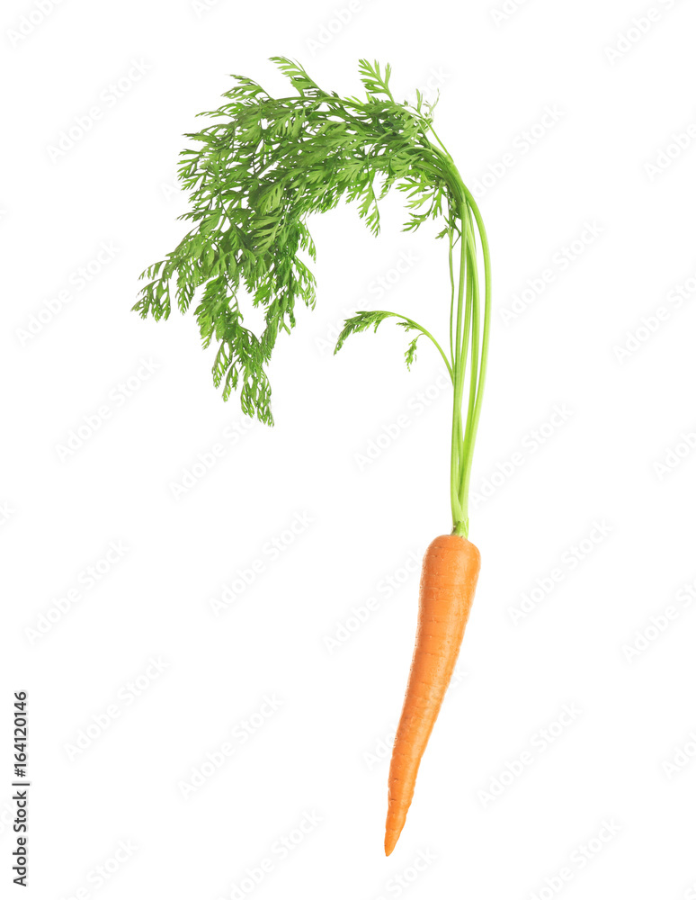 Fresh carrot on white background Fresh carrot on white background