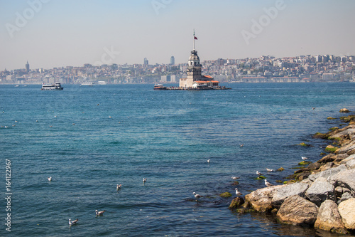 Photography Seagulls and maidens Tower in Istanbul