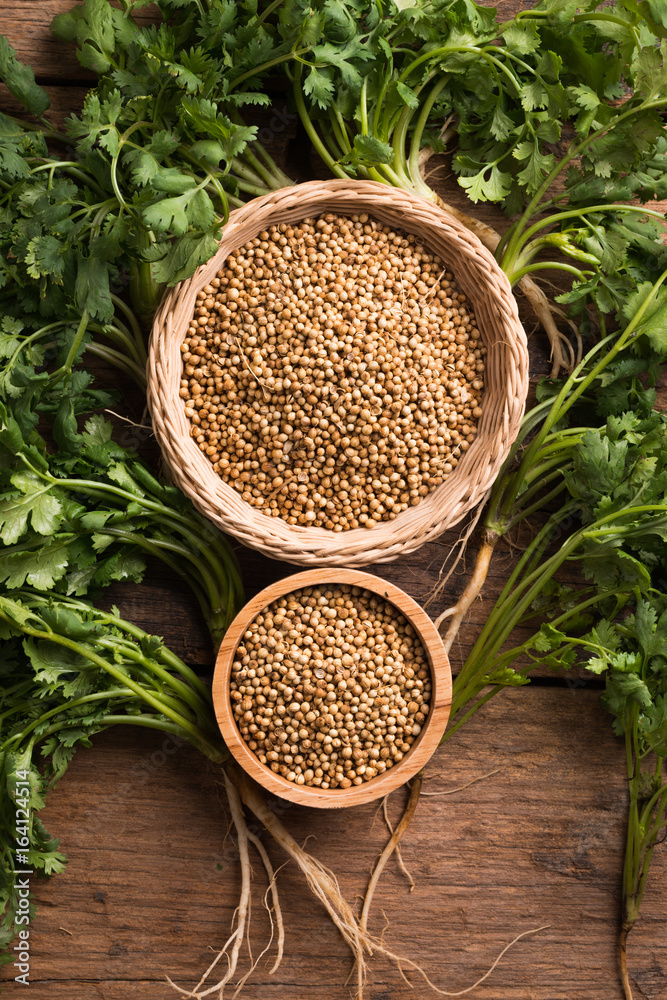 Coriander seeds and leaves on a wood background Coriander seeds and leaves on a wood background