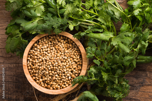 Coriander seeds and leaves on a wood background