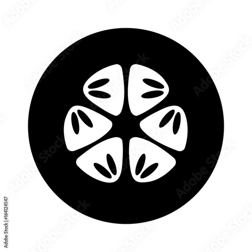 Cucumber slice cross section with seeds flat vector icon for food apps and websites