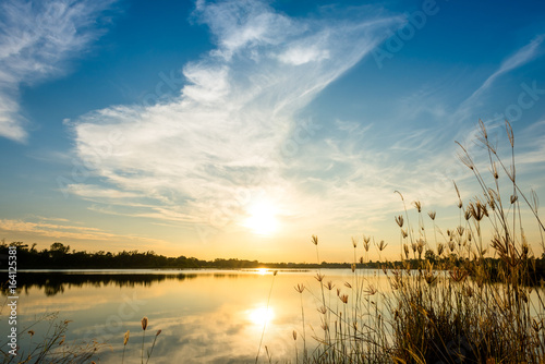 silhouette of grass flower on sunset