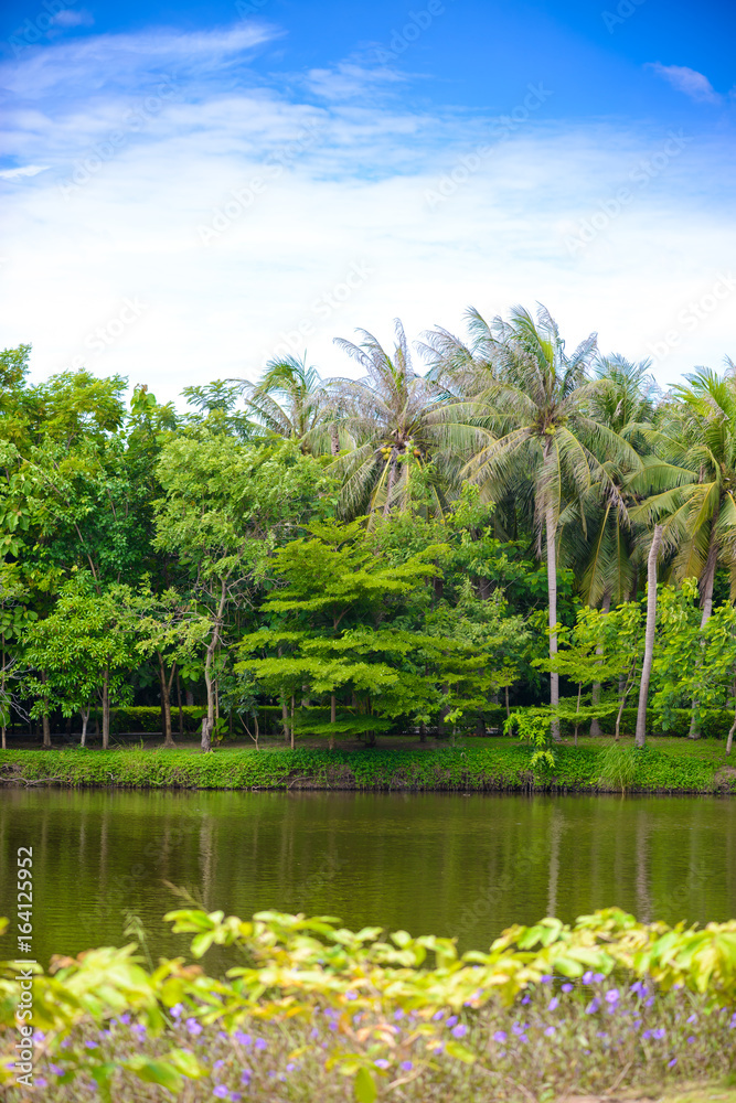 The abundance of trees, blue skies and ponds at Sri Nakhon Khuean Khan Park and Botanical Garden