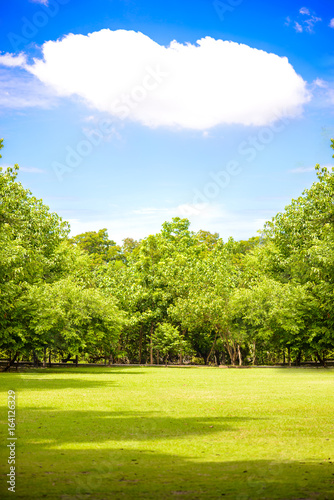 Fototapeta Naklejka Na Ścianę i Meble -  The abundance of trees, blue skies and lawn at Sri Nakhon Khuean Khan Park and Botanical Garden