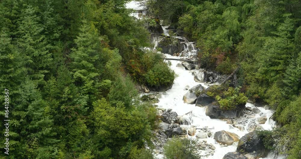 4k Waterfall flowing in the valley,Green conifers,Bomi County,tibet.the largest precipitation area in China. 4k Waterfall flowing in the valley,Green conifers,Bomi County,tibet.the largest precipitation area in China.