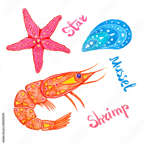 Shrimp, starfish, mussel, watercolor painting