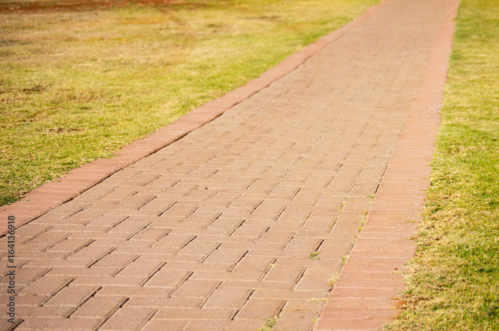 Single Pathway