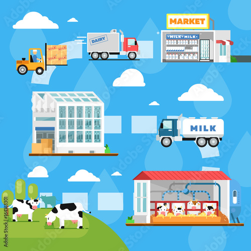Eco milk manufacturing infographics. Stages of milk production vector illustration. Cow farm  transportation and processing on milk factory  fresh and healthy dairy products distribution in market.