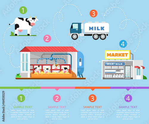 Stages of milk production infographics. Cow farm, transportation and processing on milk factory, fresh and healthy dairy products distribution in market. Eco milk manufacturing vector illustration.