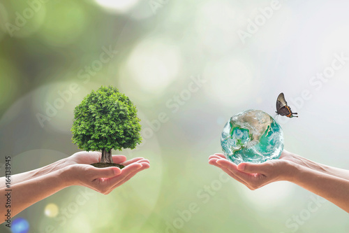 Green world and Tree of life growing in clean environment on volunteer's hand for sustainable ecology concept. Element of this image furnished by NASA