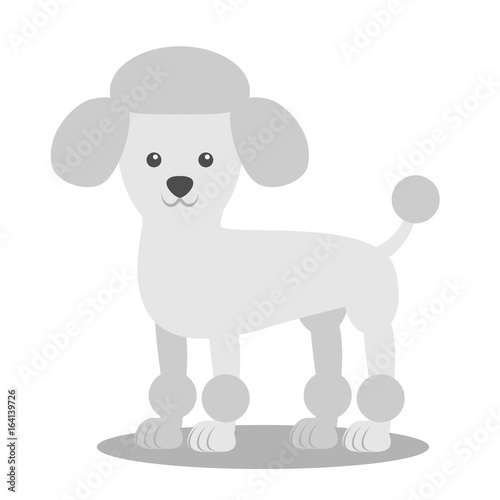 Vector illustration of a dog. Children's stylized picture. Poodle