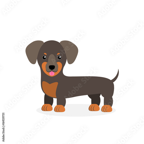 Vector illustration of a dog. Children s stylized picture. Dachshund