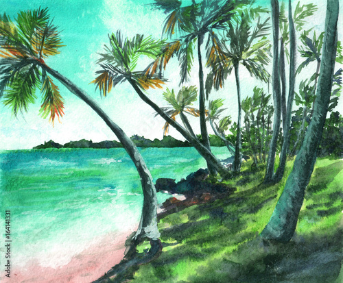 Watercolor hand drawn illustration of tropical beach. Sun, palm, wind, summer, nature, paradise.