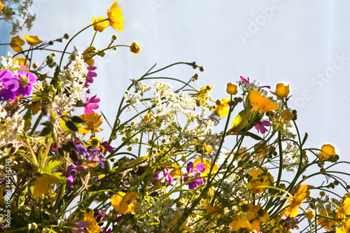 Fototapeta Naklejka Na Ścianę i Meble -  Wild geranium and buttercups flowers bouquet on grey background
