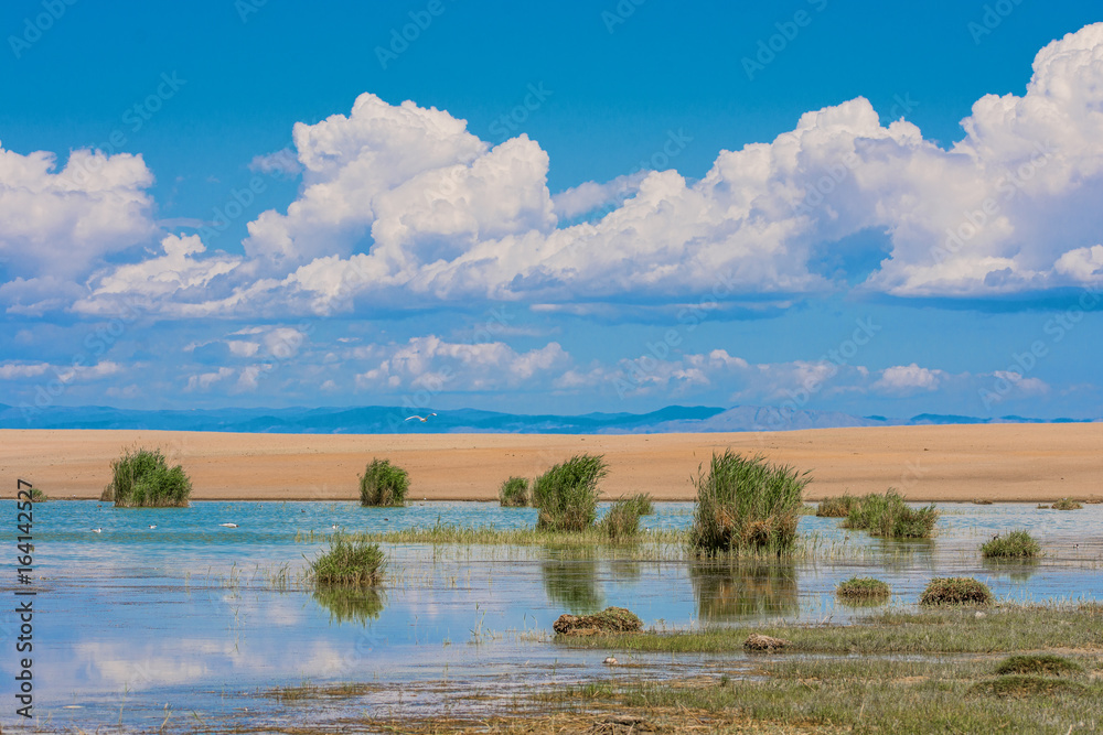 amazing lake surrounded by green plants at sunny day
amazing lake surrounded by green plants at sunny day