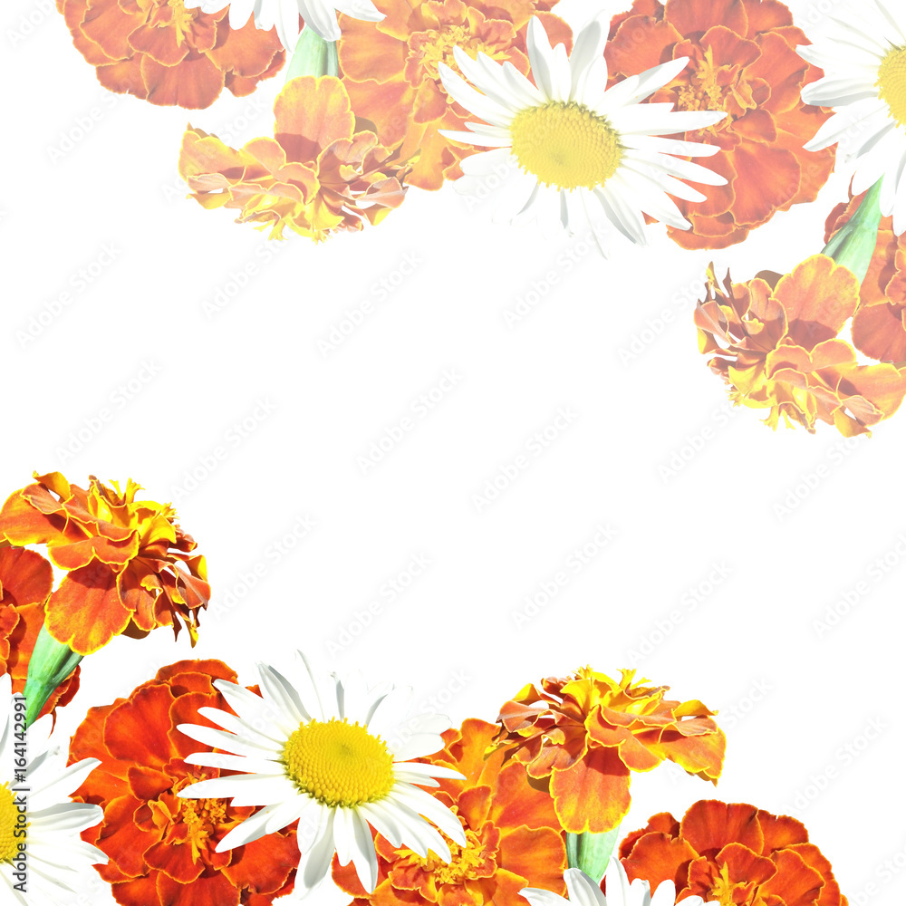 Beautiful floral background with daisies and marigolds 