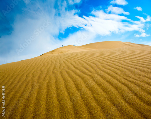 Desert landscape panorama dunes
