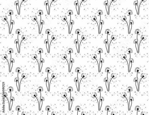 Fototapeta Naklejka Na Ścianę i Meble -  Background with field dandelion. 