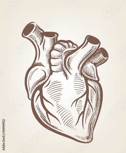 Vector medical heart