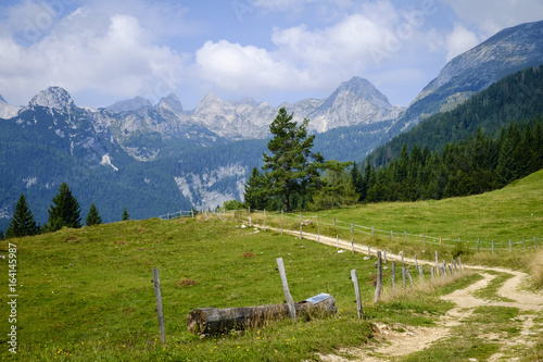 Uskovnica mountain pasture photo