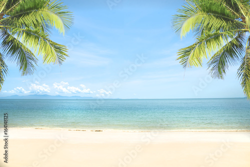 Fototapeta Naklejka Na Ścianę i Meble -  tropical sea beach with coconut tree. copy space ready for your text.