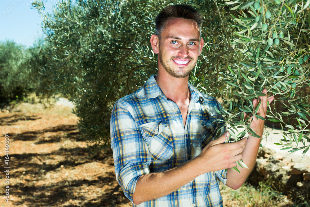 portrait of  gardener among olive trees on sunny day
