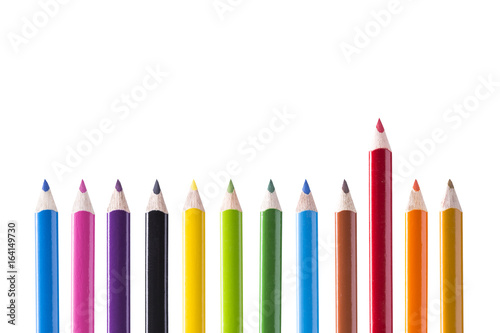 Twelve pencils on white background. Red main. Copyrighted