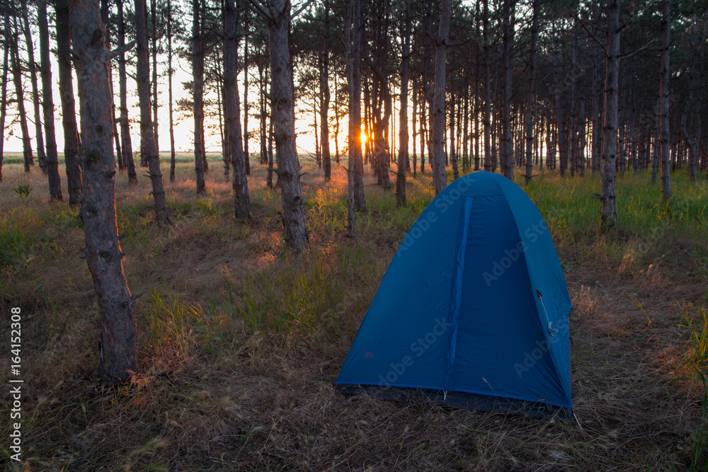 CAMPING TENT IN THE FORREST