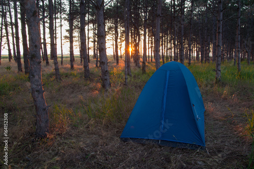 CAMPING TENT IN THE FORREST