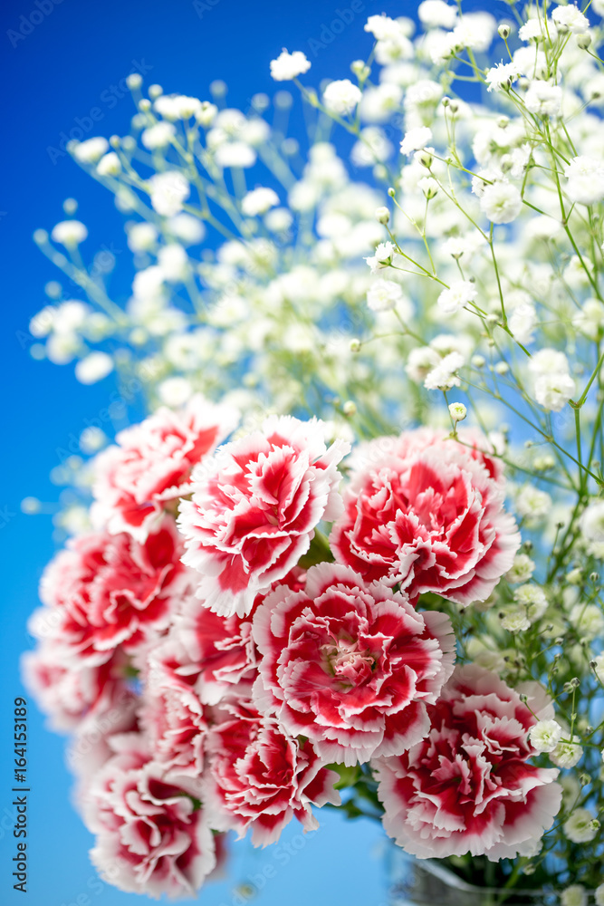 カーネーションの花