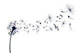 Dandelion with music notes. 