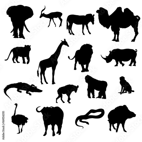 Silhouettes of animals Safaris