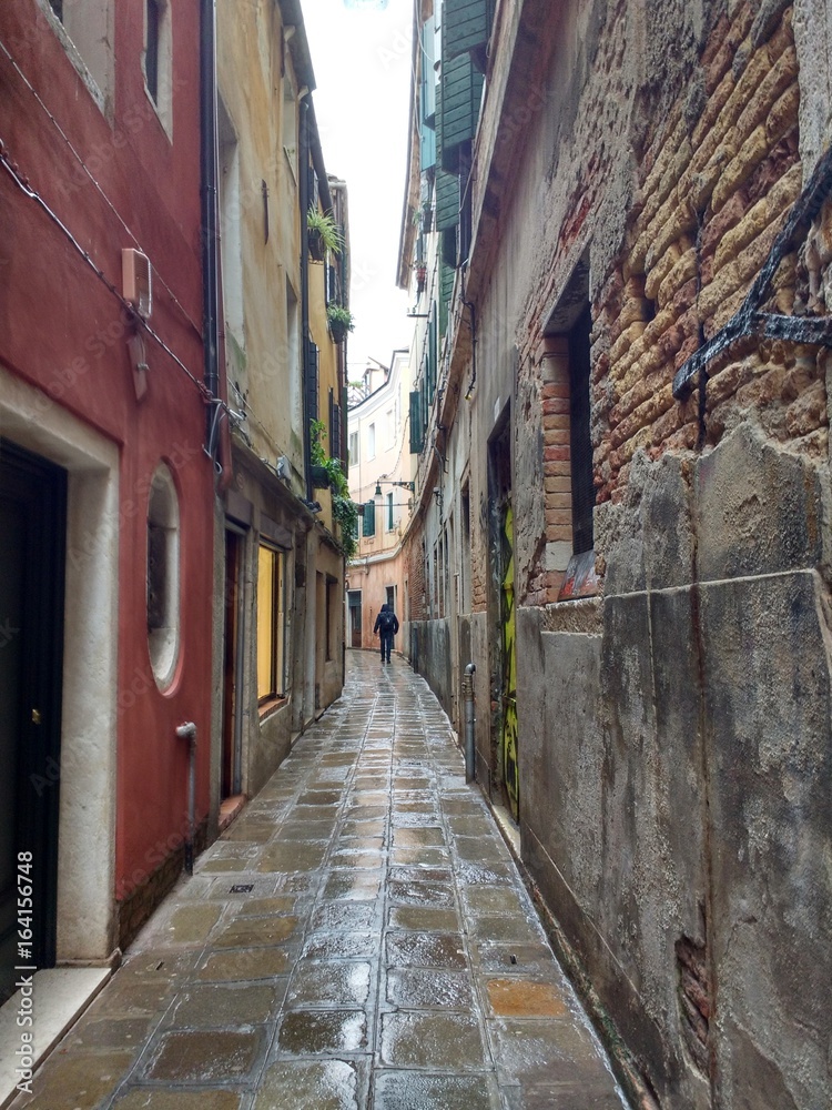 Fototapeta premium Way