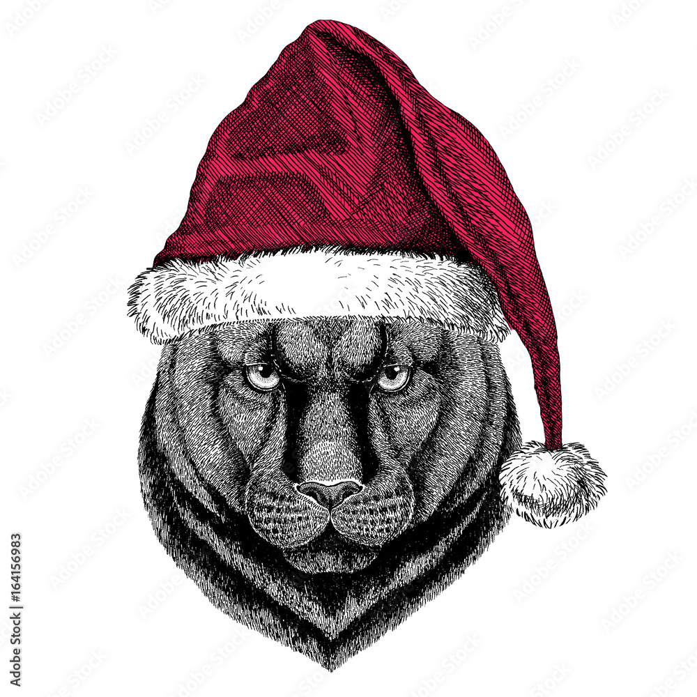Dato Alfombra de pies Comerciante Panther Puma Cougar Wild cat Christmas illustration Wild animal wearing  christmas santa claus hat Red winter hat Holiday picture Happy new year  ilustración de Stock | Adobe Stock