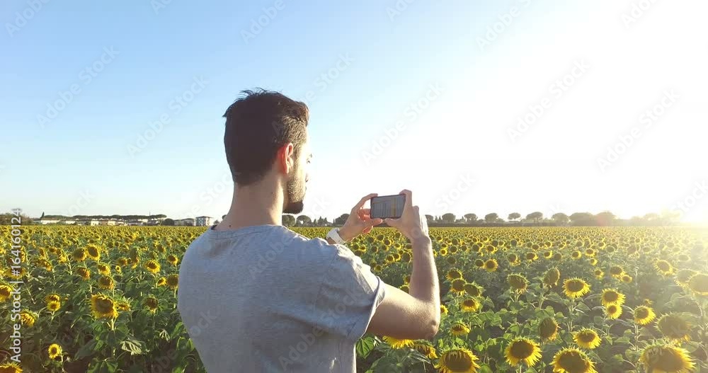 Giovane uomo sta facendo un video nel campo di girasoli 