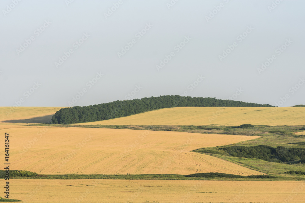 Fototapeta premium harvest of the steppe fields in the summer