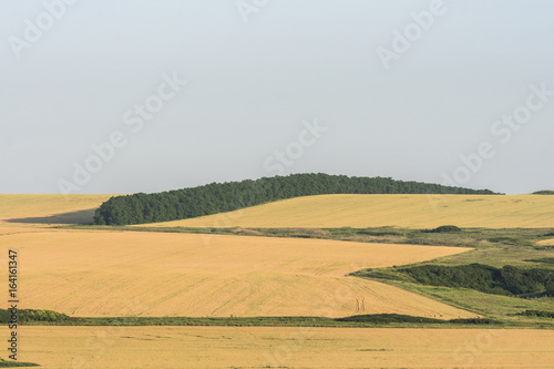 harvest of the steppe fields in the summer