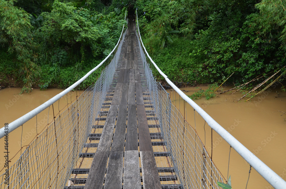 Obraz premium Hanging bridge over river