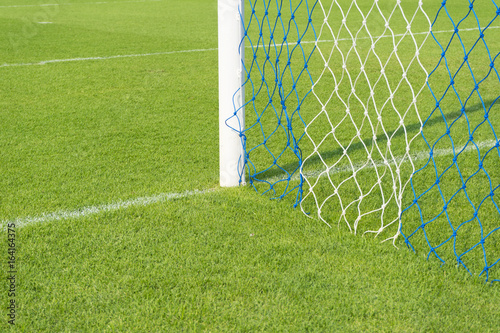 green grass in Stadium  photo