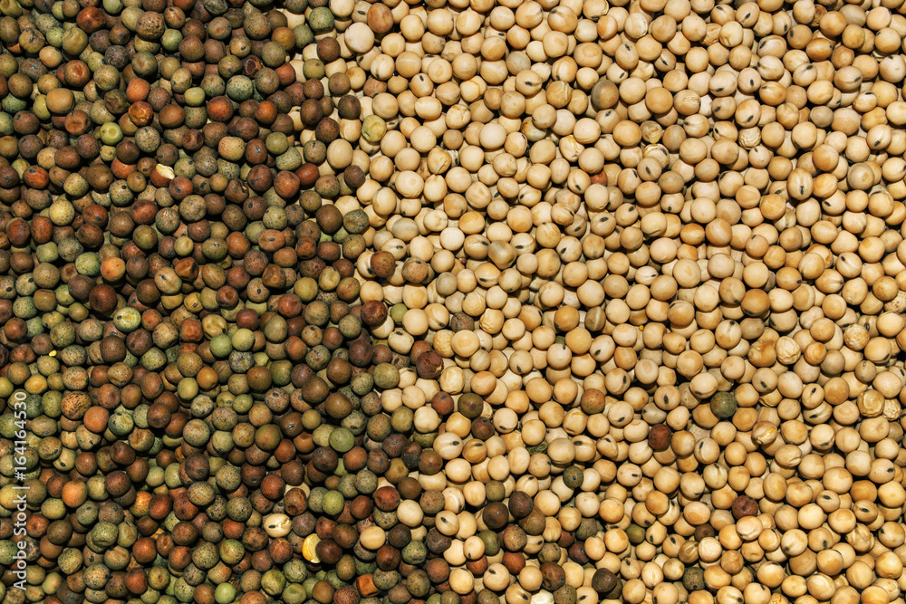Fototapeta premium Heap of agricultural crop seed as background