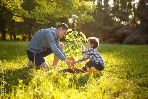 Fotografie, Obraz Parent and child planting tree