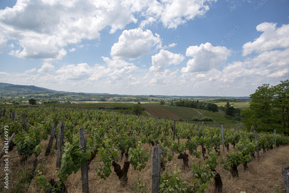 Obraz premium Cliché