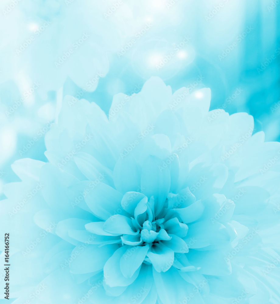 Bright background with a flower blue color