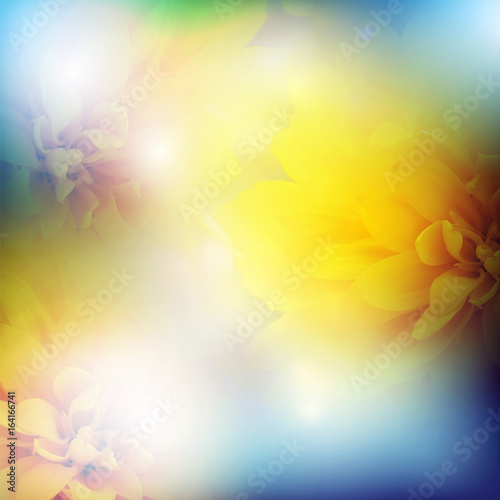 Color Greeting cards Abstract background with flowers