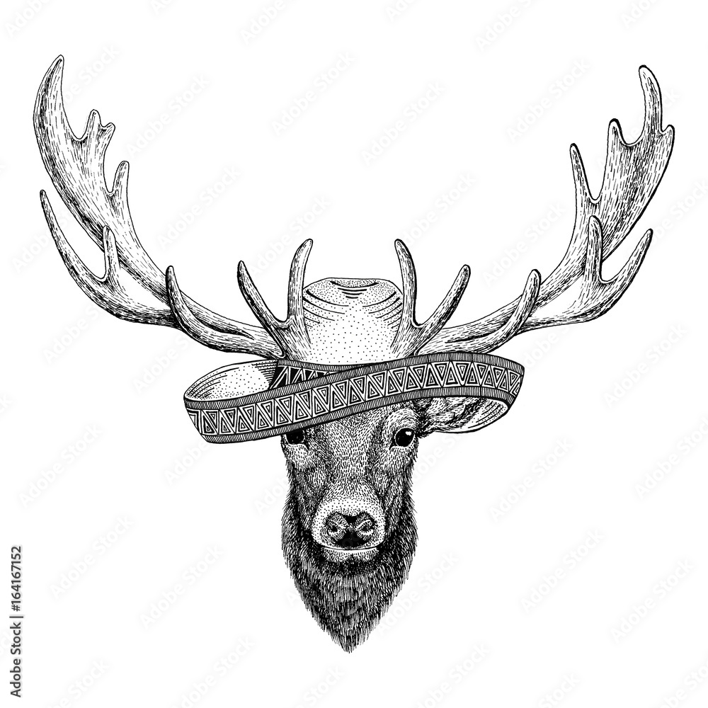 Fototapeta premium Deer Wild animal wearing sombrero Mexico Fiesta Mexican party illustration Wild west